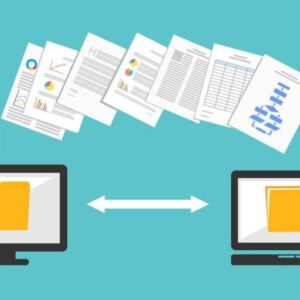 Website Migration Service